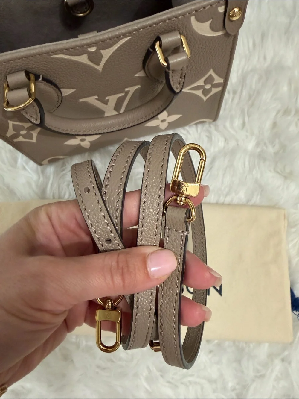 LOUIS VUITTON GIANT FELICIE ON THE GO BB BAG